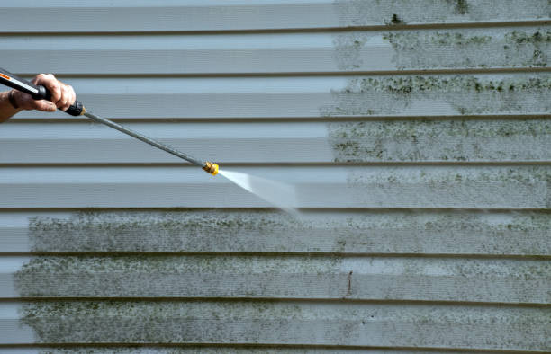 Best Attic Mold Removal  in Watervliet, MI