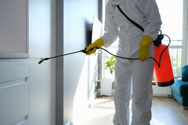Best Mold Remediation  in Watervliet, MI