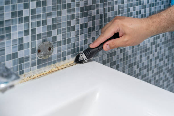 Watervliet, MI Mold Removal Company