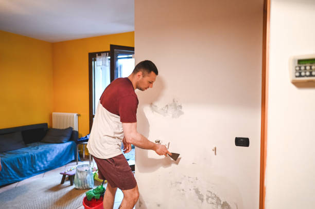 Best Commercial Mold Removal  in Watervliet, MI